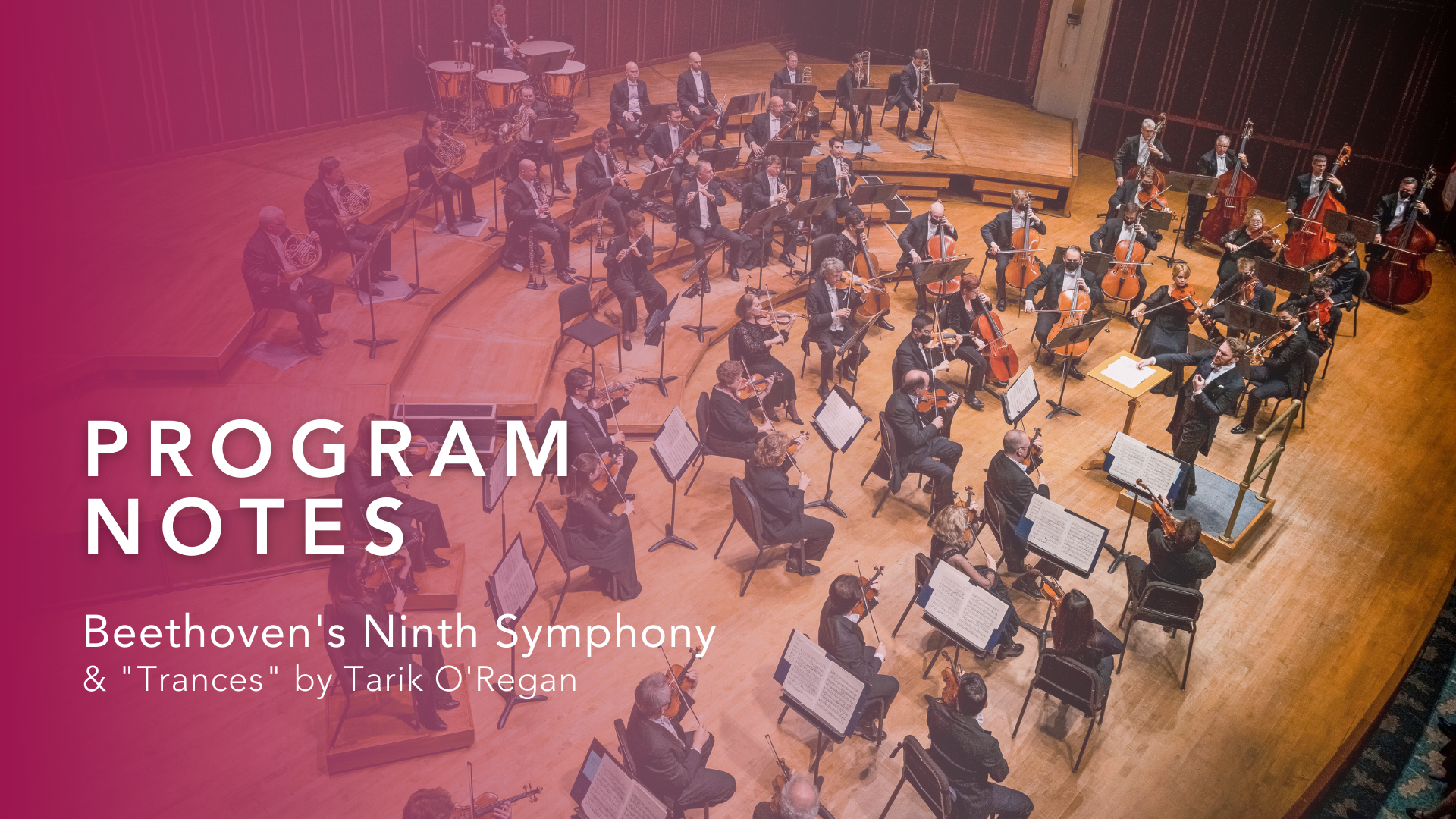 Featured image for “Program Notes: Beethoven’s Ninth”